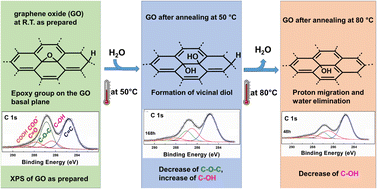Graphical abstract: Assessing the evolution of oxygenated functional groups on the graphene oxide surface upon mild thermal annealing in water