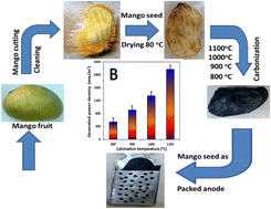 Graphical abstract: Graphitized mango seed as an effective 3D anode in batch and continuous mode microbial fuel cells for sustainable wastewater treatment and power generation