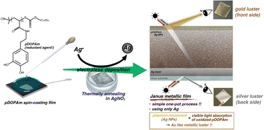 Graphical abstract: Janus metallic film with gold and silver luster by electroless deposition of silver using poly(dopamine acrylamide) thin film