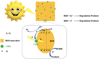 Graphical abstract: Bi/BiOI/carbon quantum dots nano-sheets with superior photocatalysis