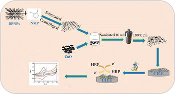 Graphical abstract: Preparation of electrochemical horseradish peroxidase biosensor with black phosphorene–zinc oxide nanocomposite and their applications