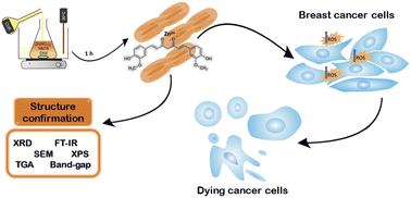 Graphical abstract: Facile one-pot hydrothermal synthesis of a zinc oxide/curcumin nanocomposite with enhanced toxic activity against breast cancer cells