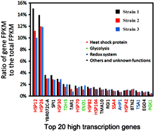 Graphical abstract: Improving thermo-tolerance of Saccharomyces cerevisiae by precise regulation of the expression of small HSP