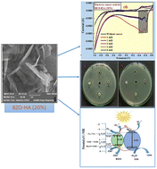 Graphical abstract: Synergistic effect of a Bi2Zr2O7 and hydroxyapatite composite: organic pollutant remediation, antibacterial and electrochemical sensing applications