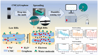 Graphical abstract: A highly sensitive flexible humidity sensor based on conductive tape and a carboxymethyl cellulose@graphene composite
