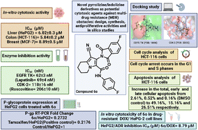 Graphical abstract: Pyrrolizine/indolizine-bearing (un)substituted isoindole moiety: design, synthesis, antiproliferative and MDR reversal activities, and in silico studies