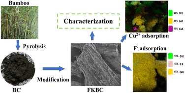 Graphical abstract: KOH-modified bamboo charcoal loaded with α-FeOOH for efficient adsorption of copper and fluoride ions from aqueous solution