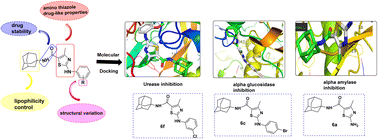 Graphical abstract: Synthesis of amantadine clubbed N-aryl amino thiazoles as potent urease, α-amylase & α-glucosidase inhibitors, kinetic and molecular docking studies