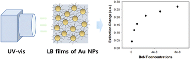 Graphical abstract: Facile detection of botulinum neurotoxin using LSPR nanosensor based on Langmuir–Blodgett films of gold nanoparticles