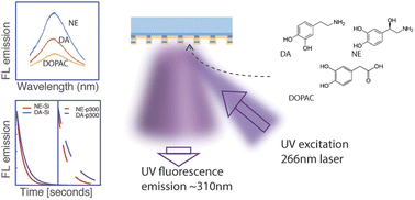 Graphical abstract: Detecting and differentiating neurotransmitters using ultraviolet plasmonic engineered native fluorescence