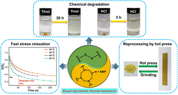 Graphical abstract: Hemiaminal dynamic covalent networks with rapid stress relaxation, reprocessability and degradability endowed by the synergy of disulfide and hemiaminal bonds