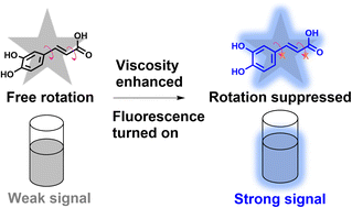 Graphical abstract: Caffeic acid, a natural extract, as an activatable molecular probe for viscosity detection in a liquid system