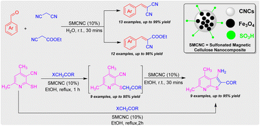 Graphical abstract: A post-sulfonated one-pot synthesized magnetic cellulose nanocomposite for Knoevenagel and Thorpe–Ziegler reactions