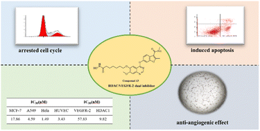 Graphical abstract: Design, synthesis and biological evaluation of VEGFR-2/HDAC dual inhibitors as multitargeted antitumor agents based on fruquintinib and vorinostat