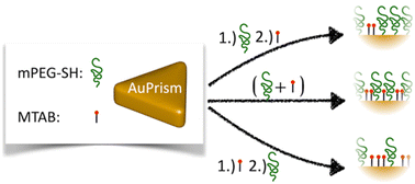 Graphical abstract: Composite ligand shells on gold nanoprisms – an ensemble and single particle study