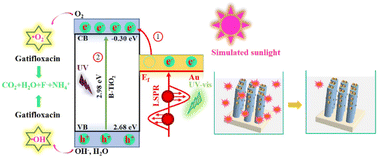 Graphical abstract: Au nanoparticle sensitized blue TiO2 nanorod arrays for efficient Gatifloxacin photodegradation
