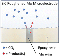 Graphical abstract: Electroreduction of dissolved carbon dioxide on roughened molybdenum microelectrodes