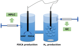 Graphical abstract: Recent progress, trends, and new challenges in the electrochemical production of green hydrogen coupled to selective electrooxidation of 5-hydroxymethylfurfural (HMF)