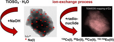 Graphical abstract: Highly efficient eco-friendly sodium titanate sorbents of Cs(i), Sr(ii), Co(ii) and Eu(iii): synthesis, characterization and detailed adsorption study
