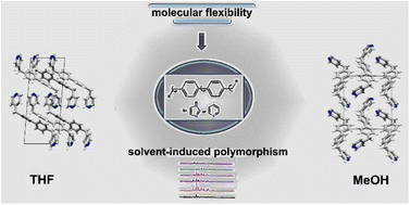 Graphical abstract: Solvent-induced polymorphism in dipodal N-donor ligands containing a biphenyl core