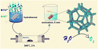 Graphical abstract: Interfacial microenvironment modulation enhancing catalytic kinetics of CoNiP@NiFe LDH heterostructures for highly efficient oxygen evolution reaction