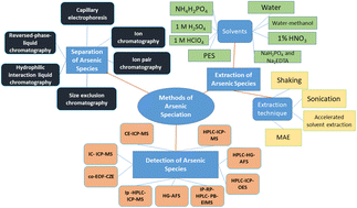 Graphical abstract: Toxicity, arsenic speciation and characteristics of hyphenated techniques used for arsenic determination in vegetables. A review