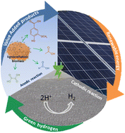 Graphical abstract: A sustainable solar-driven electrochemical process for reforming lignocellulosic biomass effluent into high value-added products: green hydrogen, carboxylic and vanillic acids