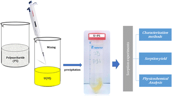 Graphical abstract: Biosorption of uranyl ions from aqueous solutions by soluble renewable polysaccharides