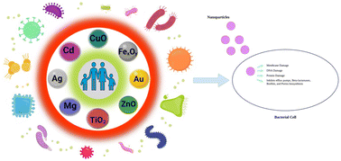 Graphical abstract: Unleashing the promise of emerging nanomaterials as a sustainable platform to mitigate antimicrobial resistance