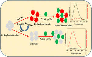 Graphical abstract: Colorimetric and fluorometric dual-mode determination of hypochlorite based on redox-mediated quenching