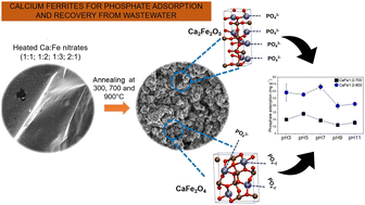 Graphical abstract: Calcium ferrites for phosphate adsorption and recovery from wastewater
