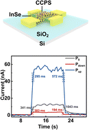 Graphical abstract: Polarization enhanced photoresponse of InSe via 2D ferroelectric CuCrP2S6