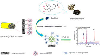 Graphical abstract: Online highly selective recognition of domoic acid by an aptamer@MOFs affinity monolithic column coupled with HPLC for shellfish safety monitoring