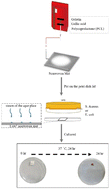 Graphical abstract: Pathogen inhibition and indication by gelatin nonwoven mats with incorporation of polyphenol derivatives