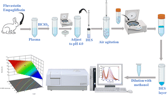 Graphical abstract: A novel microextraction technique aided by air agitation using a natural hydrophobic deep eutectic solvent for the extraction of fluvastatin and empagliflozin from plasma samples: application to pharmacokinetic and drug–drug interaction study