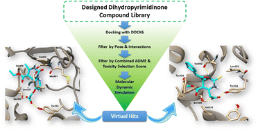 Graphical abstract: Bioactivity of dihydropyrimidinone derivatives as inhibitors of cyclooxygenase-2 (COX-2): an in silico approach
