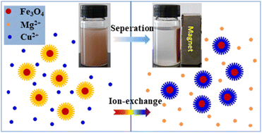 Graphical abstract: Facile fabrication of Fe3O4@Mg(OH)2 magnetic composites and their application in Cu(ii) ion removal