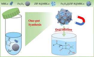 Graphical abstract: Metallo-β-lactamases immobilized by magnetic zeolitic imidazolate frameworks-8 for degradation of β-lactam antibiotics in an aqueous environment