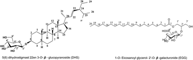 Graphical abstract: Antimicrobial and antiviral evaluation of compounds from Holoptelea integrifolia: in silico supported in vitro study