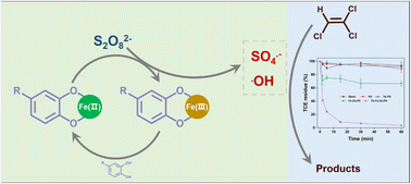 Graphical abstract: Tannic acid promotes the activation of persulfate with Fe(ii) for highly efficient trichloroethylene removal