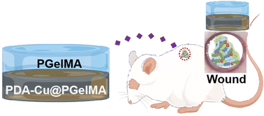 Graphical abstract: Harnessing gradient gelatin nanocomposite hydrogels: a progressive approach to tackling antibacterial biofilms