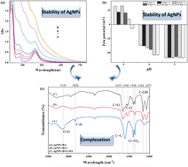 Graphical abstract: Further study on particle size, stability, and complexation of silver nanoparticles under the composite effect of bovine serum protein and humic acid