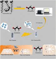 Graphical abstract: Microfluidic paper-based colorimetric quantification of malondialdehyde using silver nanoprism toward on-site biomedical analysis: a new platform for the chemical sensing and biosensing of oxidative stress
