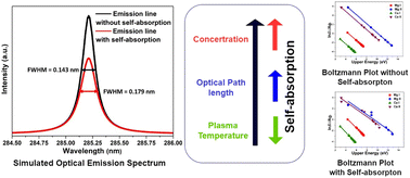 Graphical abstract: A numerical procedure for understanding the self-absorption effects in laser induced breakdown spectroscopy