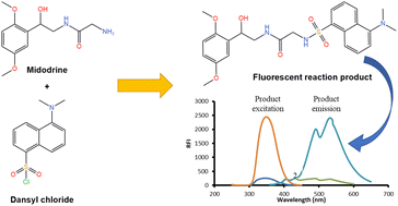 Graphical abstract: Utility of dansyl chloride for the establishment of a sensitive spectrofluorimetric approach for estimating midodrine hydrochloride: application to content uniformity testing