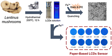 Graphical abstract: Green one-step synthesis of mushroom-derived carbon dots as fluorescent sensors for Fe3+ detection