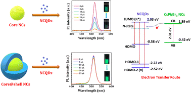 Graphical abstract: Understanding the charge transfer mechanism in CsPbBr3 nanocrystals and nitrogen-doped carbon quantum dot heterostructures: effect of nanocrystal encapsulation