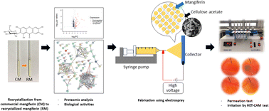 Graphical abstract: Potential of electro-sprayed purified mangiferin nanoparticles for anti-aging cosmetic applications