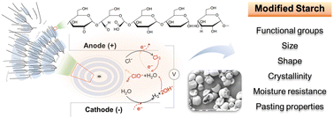 Graphical abstract: Benign electrolytic modifications of starch: effects on functional groups and physical properties