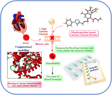 Graphical abstract: Design, synthesis and in silico evaluation of newer 1,4-dihydropyridine based amlodipine bio-isosteres as promising antihypertensive agents